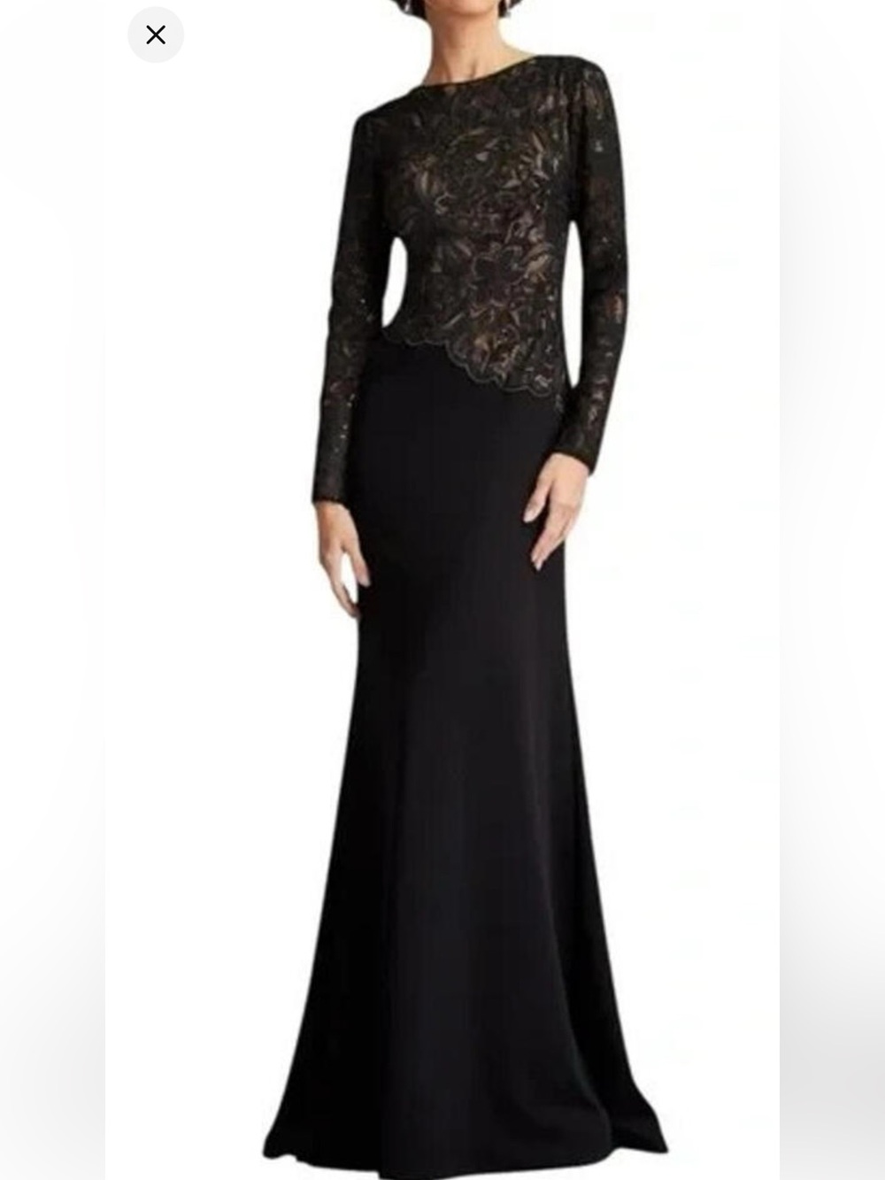 Tadashi Shoji Shika Embroidered Gown